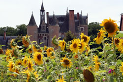 Chateau de Moulin